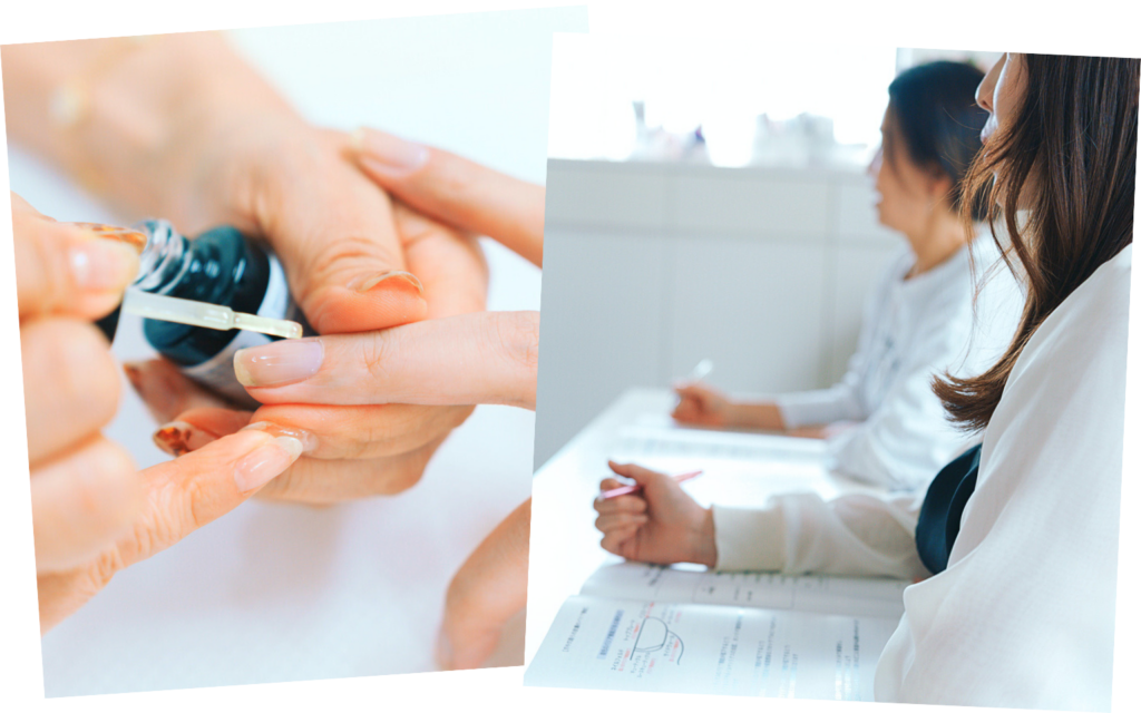 地爪ソムリエミドルコース